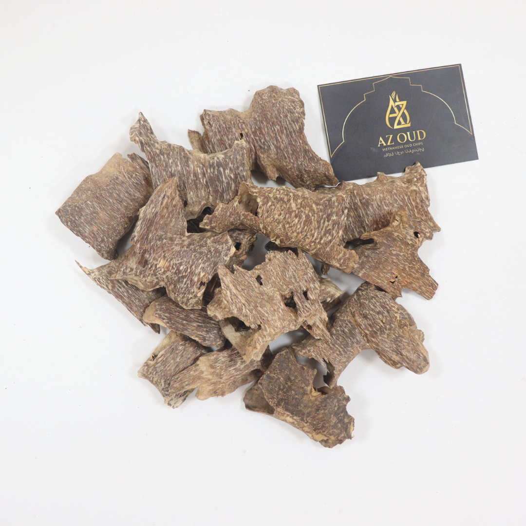 ชิปอู๊ด 1