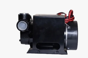 Bomba de Transferencia de Combustible de Alto Rendimiento, Fácil de Operar, Bajo Mantenimiento y Transferencia de Fluidos Confiable, Disponible para la Venta - Product Image 6