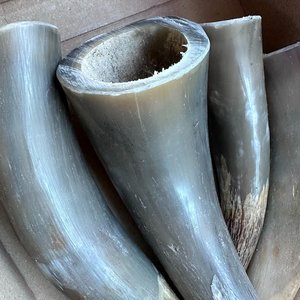 Tradebyd <b>Unique</b> Horn Crafts Handmade Natural Decorative Home Decor Eco Friendly Gift Items - Product Image 1