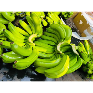 Bananes Cavendish vertes fraîches de ferme, de qualité supérieure, brutes, pour la transformation alimentaire et la consommation quotidienne - Product Image 3