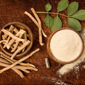 Ashwagandha en poudre 100% pure et naturelle, adaptogène, haute puissance, supplément bien-être certifié biologique Terra Bio Naturals - Product Image 1
