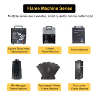 Machine à flammes DMX professionnelle pour scène de DJ, effets spéciaux, 2 têtes, double sens, 200W, machine à flammes DMX sécurisée pour événements