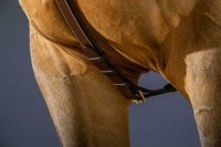 Top équestre 3 points attachement en cuir véritable concours long pont plastron équipement de selle sécurisé pour les propriétaires de chevaux