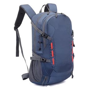 Wholesale High Quality Fashion Customized Design Size Detachable Strap <b>Light</b> <b>Weight</b> Nylon Polyester Lining Unisex <b>Backpack</b> - Product Image 4