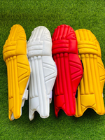 Protège-tibias de cricket de qualité supérieure, design couleur personnalisé, robustes, en promotion à bas prix HANS RAJ MAHAJAN SONS MND-253