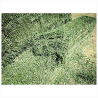 Foin d'alfalfa de qualité supérieure à vendre en gros, alimentation pour bétail, pour les exploitations d'élevage de bovins, de chevaux, de chèvres et de moutons.