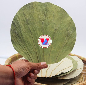 ใบบัวแห้งสำหรับชา: จากดอกบัวสด - Product Image 4