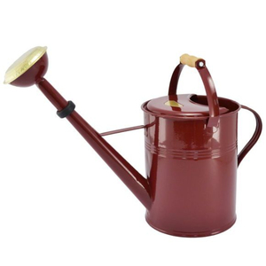 WHITE <b>ROYALS</b> Eco-Friendly 8L Galvanized Steel Watering Can Long Spout Wooden Handle for Indoor Outdoor Gardening Use - Product Image 1