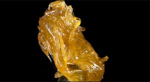 Manjistha CO2 Herbal <b>Extract</b> Plant Powder Type - Product Image 4