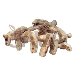Suministros Ecológicos y Duraderos para Reptiles y Anfibios de Java: Raíz de Araña, Madera de Escalada Mediana sin Tratamiento para el Cuidado de Reptiles - Product Image 3