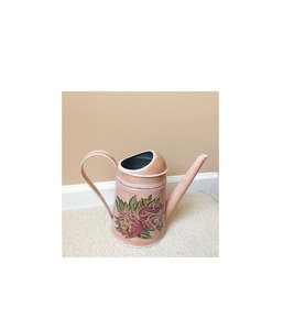 Arrosoir en métal de qualité supérieure, design élégant imprimé à l'émail, adapté aux jardiniers professionnels et aux amateurs de plantes à domicile. - Product Image 5