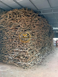 ไม้ Takimex เป็นมิตรกับสิ่งแวดล้อมเคี้ยวของเล่นปลอดภัยและเสี้ยนฟรีสำหรับสุนัขรสชาติกาแฟเพื่อสุขภาพฟัน - Product Image 5