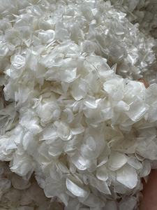 Meilleure vente en gros 2024 écailles de poisson tilapia séchées 100 pures avec un prix compétitif et une qualité de qualité sur le marché - Product Image 5