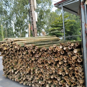 Varas de Bambú de Vietnam Ecológicas de Alta Calidad al por Mayor, Estacas de Bambú, Precio de Caña de Bambú - Product Image 5