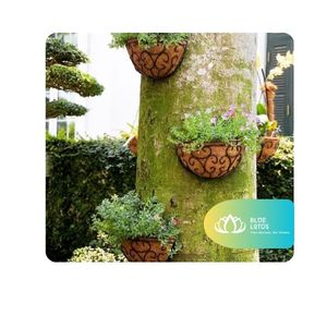 [VENTE CHAUDE] Pot en fibre de coco biodégradable et écologique avec trou de drainage pour le repiquage des semis et le soutien des jeunes plantes - Ben Tre, Vietnam - Product Image 1