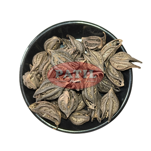 Bichhu Phal, Fruta Seca Entera, Material Botánico, India, Patil Foods - Product Image 1