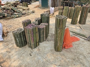 Varillas de Bambú de Alta Calidad para Marcos de Linternas, Venta al por Mayor en Vietnam, Tiras de Bambú Duraderas Sin Nudos, Proveedor Directo de Vietnam - Product Image 6