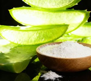 Export-grade aloe vera powder <b>extract</b> 100X for international cosmetic manufacturing and reliable raw material supply - Product Image 3