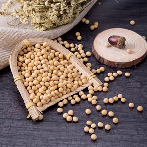 100% Natural Non GMO <b>Soybeans</b> for Oil Extraction Animal Feed Food Processing Bulk Supply 50kg PP Bag Export Quality - Product Image 3