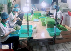 Высококачественные биоразлагаемые поликарбонатные одноразовые питьевые соломинки, Прямая продажа с завода, хорошая цена, устойчивые аксессуары для бара - Product Image 6