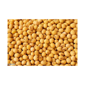 Premium Brazil Non GMO <b>Soybean</b> High Quality <b>Soybeans</b> For Plant Based Food Production And Export - Product Image 2