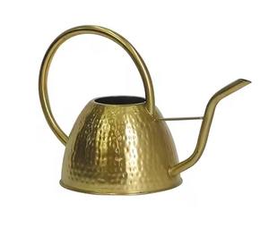 Arrosoir en métal de forme classique avec long bec pour arroser les plantes et les fleurs - Product Image 1