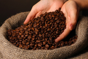 Large Quantity Organic Arabica Roasted and Ground Coffee, Vietnam Manufacturer, USDA Certified, Foreign Matter 0.1% - Product Image 6