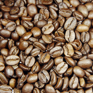 Café Wild Forest 100% grains de café indiens torréfaction légère Arabica Robusta Café instantané décaféiné en poudre saveur chocolat 2023 - Product Image 5