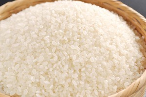 Alta calidad Japonica Sushi Rice Aroma rico y delicioso sabor | La mejor opción para los importadores, Agencia Joice-: + 84 901446064 - Product Image 6