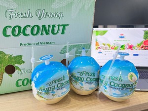 มะพร้าวพรีเมียมส่งออกโดยตรงจากเวียดนาม - Product Image 4