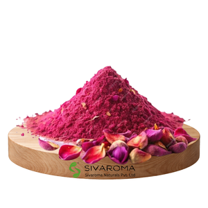 Poudre d'extrait de rose séchée de qualité supérieure, conçue pour la parfumerie, les produits de soin et les exigences de formulation cosmétique avancée - Product Image 1
