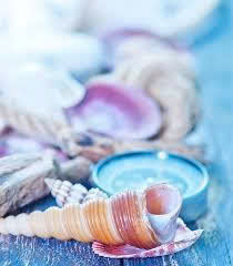 Pinza para el Cabello de Concha Marina Natural, Accesorio Hecho a Mano en Vietnam, Adorno de Moda, Regalo Ecológico de Boutique - Product Image 5