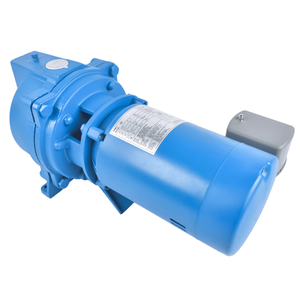 Pompa a getto J5S 1/2 HP 115/230 V in ghisa per pozzi d'acqua poco profondi con 3500 RPM, blu - Product Image 6