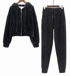 Ensemble 2 pièces décontracté en velours épais pour l'automne : haut court à capuche et pantalon droit, chaud et chic - Product Image 1