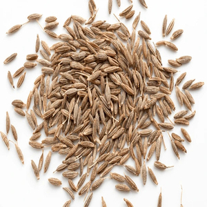 Graines de fenouil indien de première qualité, nouvelle récolte, pour le commerce en gros, l'approvisionnement en ingrédients en vrac et l'expansion du marché alimentaire international - Product Image 5