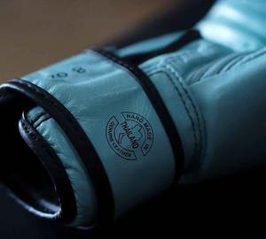 ถุงมือชกมวย Fairtex คุณภาพพรีเมียม หนังวัวแท้ ถุงมือมวยไทย Fairtex สำหรับฝึกซ้อม ผลิตตามสั่ง อุปกรณ์ต่อสู้ Fairtex - Product Image 5