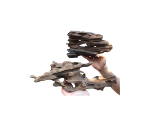 Décoration d'aquarium en bois flotté naturel, forme irrégulière, ornement pour aquarium, décor de fond écologique, fabriqué au Vietnam - Product Image 5