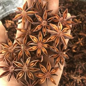 Anis étoilé de qualité supérieure de Yen Bai, Vietnam, Mme Celeste Nguyen +84 943 413 098, humidité automne-printemps 13,5%, durée de conservation 2 ans - Product Image 1