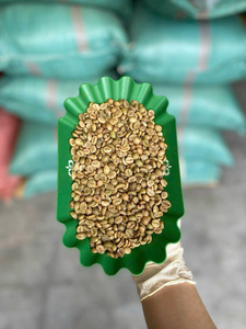 Granos de Café Robusta Verdes Premium, Procesados con Miel, Alto Contenido de Cafeína, Grado S18 AA, para Tostadores Comerciales y Especializados - Product Image 3