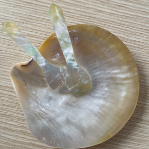 Cuillère culinaire en nacre 100% de haute qualité pour cuillères de service au caviar cuillères à coquille haut de gamme du Vietnam - Product Image 5