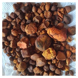 Cálculos Biliares de Buey/Vaca en Polvo, Venta al por Mayor a Granel, Grado Premium para Uso en Alimentación - Product Image 1