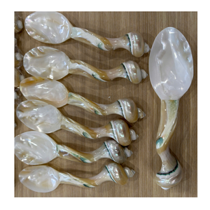 Cuillère de luxe faite à la main en nacre, manche en coquillage naturel, vaisselle décorative pour table à manger - Product Image 6