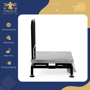 Balance numérique de table en acier inoxydable ACE, capacité 120 kg, précision 10/20 g, garantie 1 an - Product Image 4