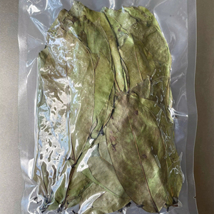 ใบมะเฟืองแห้ง โรงงานชาสมุนไพรเวียดนาม คุณภาพสูง ราคาดีที่สุดสำหรับผู้ค้าส่ง - Product Image 1