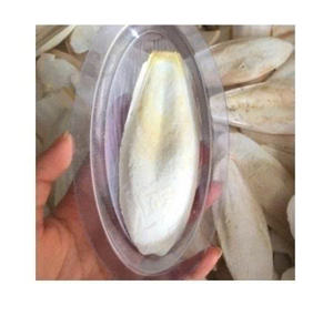 Os de Seiche Naturel de Qualité Supérieure – Source de Calcium Marin Idéale pour Oiseaux, Tortues, Reptiles et Soutien Nutritionnel Animal - Product Image 1