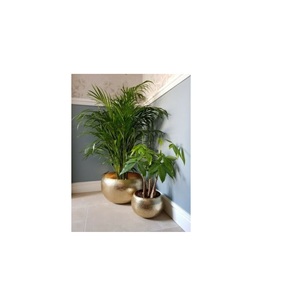 Rustic Metal Planter Farmhouse Style Flower Pot Durable Decorative Indoor Outdoor Garden Home Display - Product Image 5