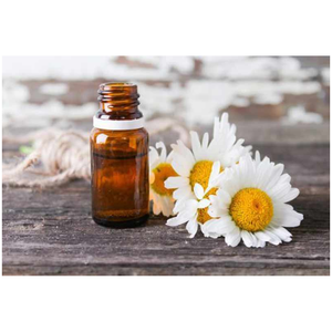 Huile essentielle de camomille allemande pure, distillée à la vapeur, pour l'aromathérapie, les soins de la peau et les produits de beauté - Product Image 3