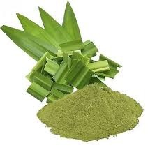 Poudre de feuilles de Pandan pure en vrac disponible - Arôme 100% naturel séché à froid pour la production alimentaire industrielle - Product Image 4