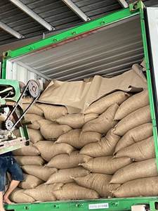 Granos de café verde Robusta de alto grado de Vietnam Tamaño de embalaje OEM-Pey - Product Image 4