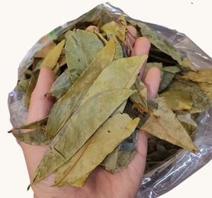 Proveedor de Vietnam, Hojas de Guanábana Secas, Grado Alimenticio Premium, Hojas de Graviola Naturales, Producto de Exportación al por Mayor - Product Image 2